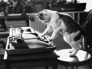cat-on-typewriter